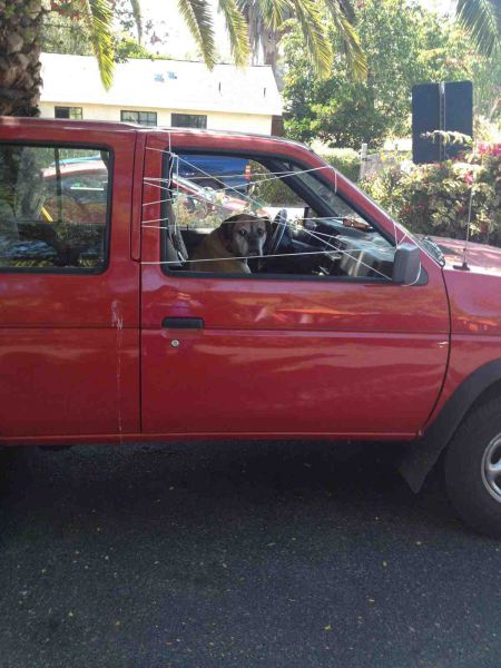 morning picdump 56 pics 25.html - 56 HD Photos | Premium Gallery 2014