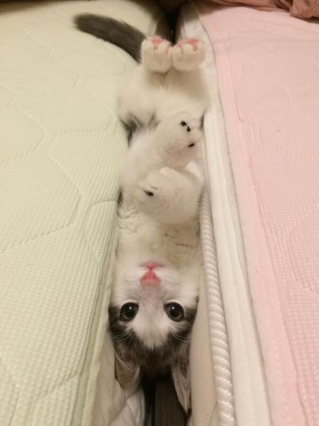 morning picdump 56 pics 25.html - 56 HD Photos | Premium Gallery 2014