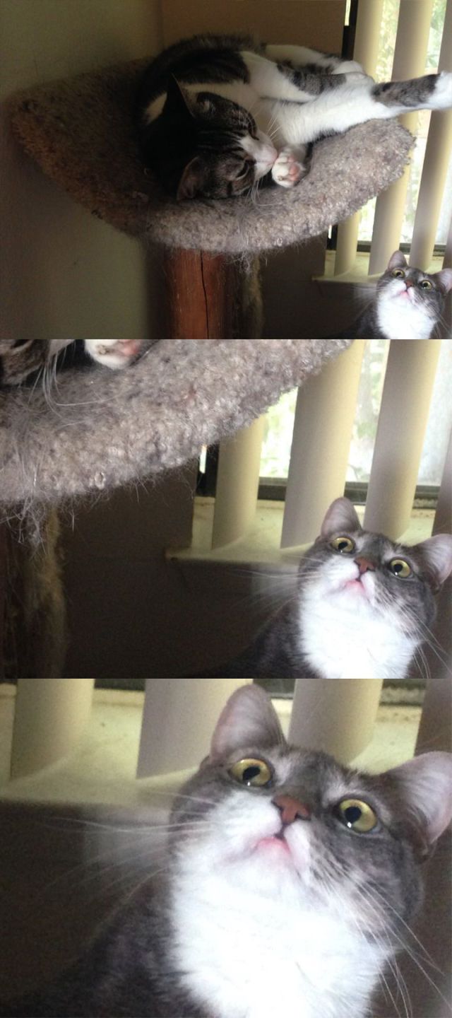 morning picdump 56 pics 25.html - 56 HD Photos | Premium Gallery 2014