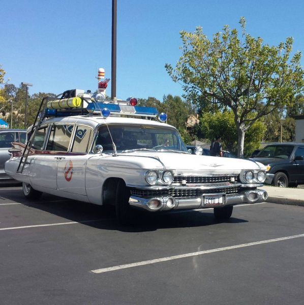 morning picdump 57 pics 22.html - 57 HD Photos | Premium Gallery 2014