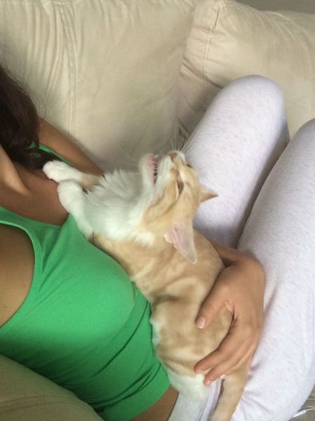 morning picdump 57 pics 22.html - 57 HD Photos | Premium Gallery 2014