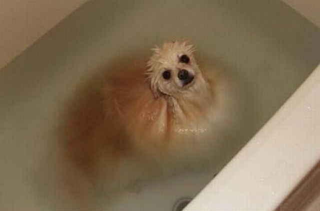 morning picdump 57 pics 22.html - 57 HD Photos | Premium Gallery 2014