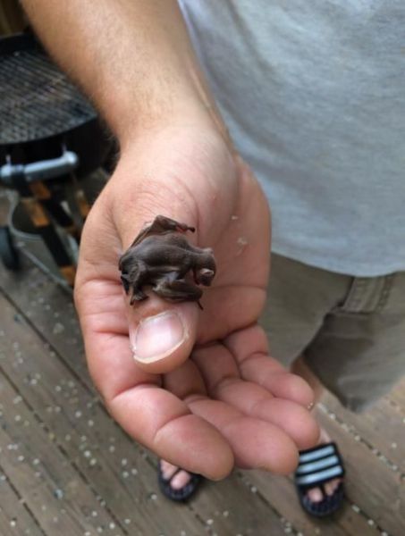 morning picdump 57 pics 22.html - 57 HD Photos | Premium Gallery 2014