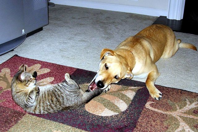 morning picdump 57 pics 22.html - 57 HD Photos | Premium Gallery 2014