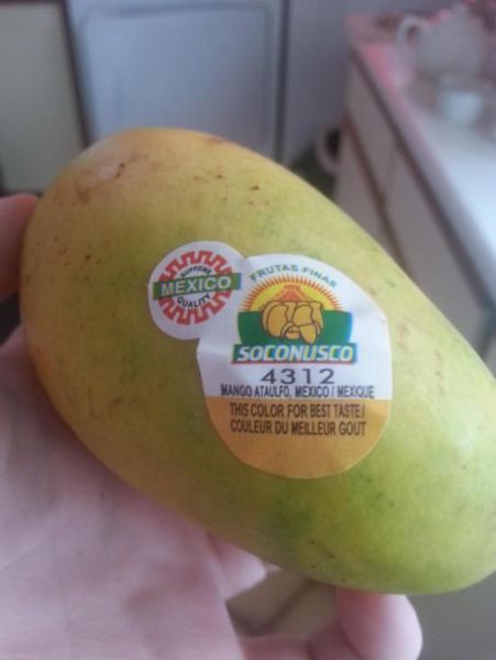 morning picdump 57 pics 22.html - 57 HD Photos | Premium Gallery 2014