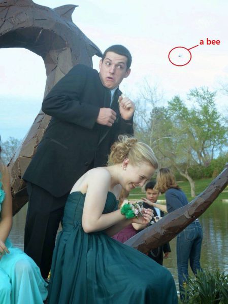 morning picdump 57 pics 22.html - 57 HD Photos | Premium Gallery 2014