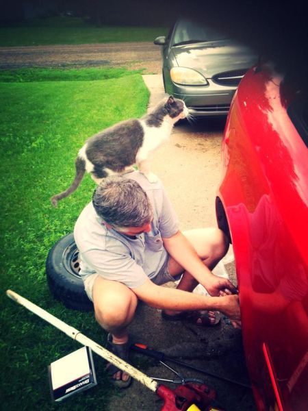 morning picdump 57 pics 21.html - 57 HD Photos | Premium Gallery 2014