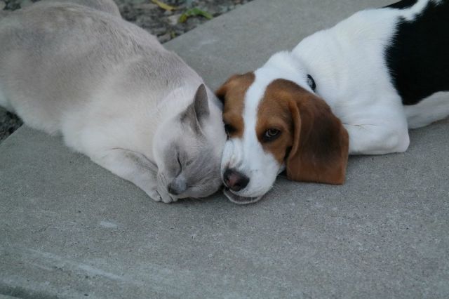 morning picdump 57 pics 21.html - 57 HD Photos | Premium Gallery 2014