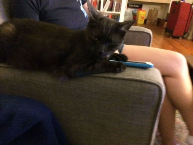 morning picdump 56 pics 4.html - 56 HD Photos | Premium Gallery 2014