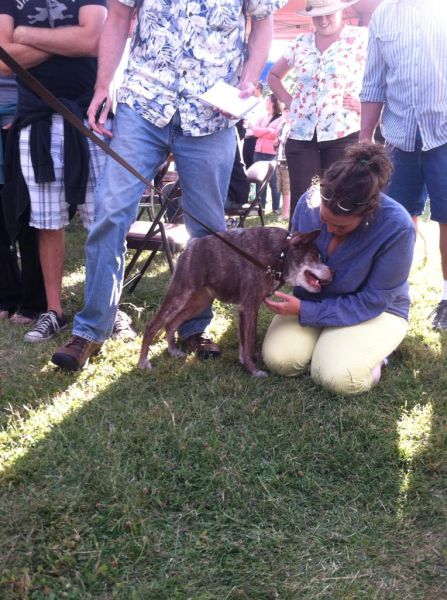 morning picdump 56 pics 4.html - 56 HD Photos | Premium Gallery 2014