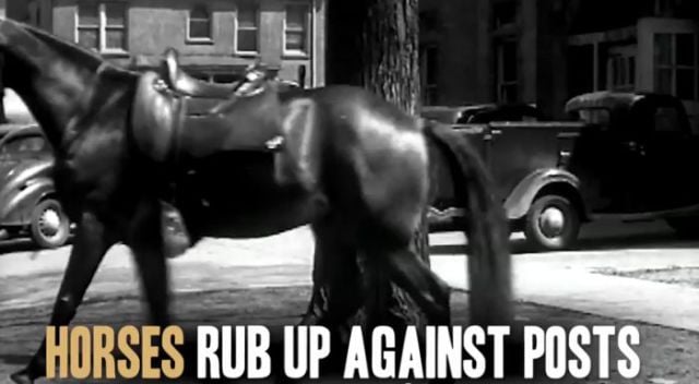 Surprising Facts about Female Masturbation