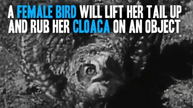 Surprising Facts about Female Masturbation