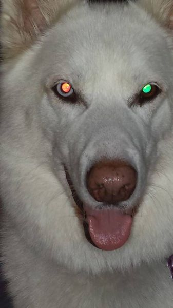 morning picdump 56 pics 11.html - 56 HD Photos | Premium Gallery 2014