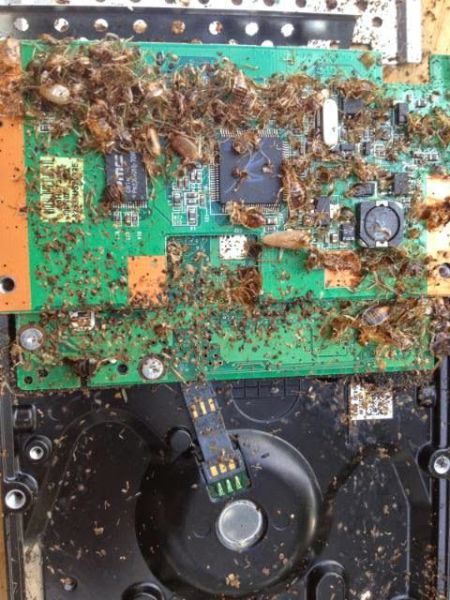 morning picdump 56 pics 11.html - 56 HD Photos | Premium Gallery 2014