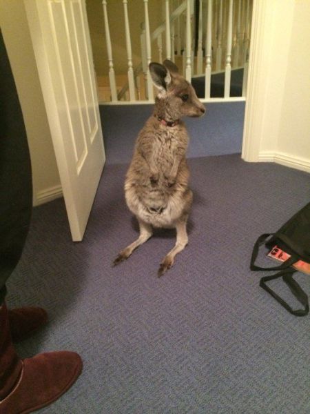 morning picdump 56 pics 11.html - 56 HD Photos | Premium Gallery 2014