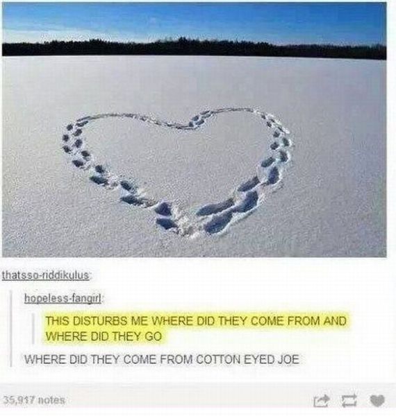 Morning Picdump