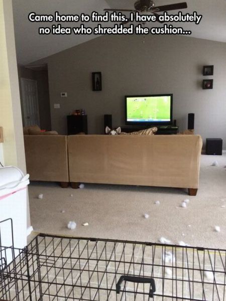 morning picdump 55 pics 20.html - 55 HD Photos | Premium Gallery 2014