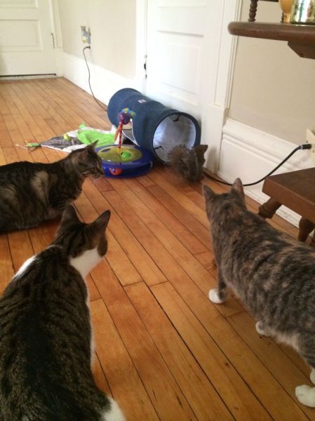 morning picdump 55 pics 20.html - 55 HD Photos | Premium Gallery 2014