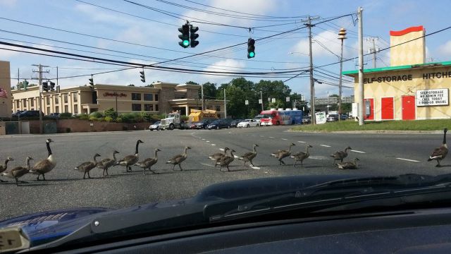 morning picdump 55 pics 20.html - 55 HD Photos | Premium Gallery 2014