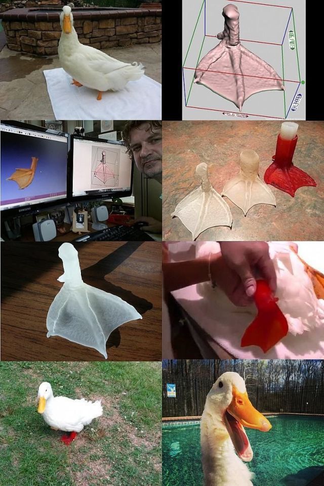 morning picdump 55 pics 20.html - 55 HD Photos | Premium Gallery 2014