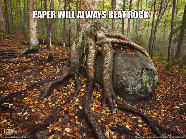 morning picdump 63 pics 19.html - 63 HD Photos | Premium Gallery 2014