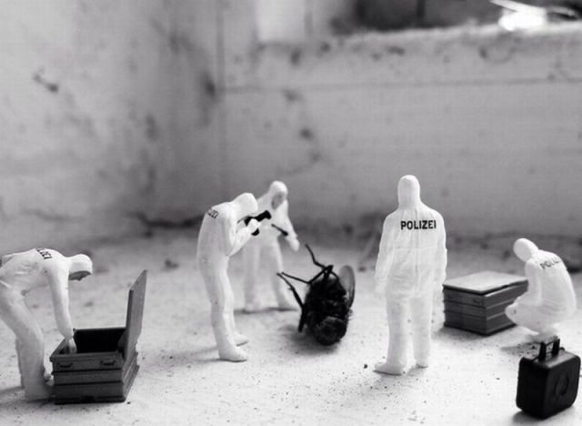 morning picdump 63 pics 19.html - 63 HD Photos | Premium Gallery 2014