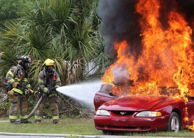 morning picdump 63 pics 19.html - 63 HD Photos | Premium Gallery 2014