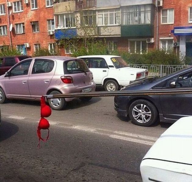 morning picdump 63 pics 19.html - 63 HD Photos | Premium Gallery 2014