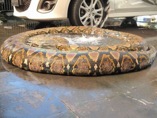 morning picdump 58 pics 18.html - 58 HD Photos | Premium Gallery 2014