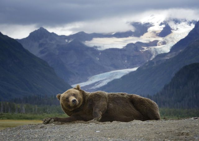 morning picdump 58 pics 18.html - 58 HD Photos | Premium Gallery 2014