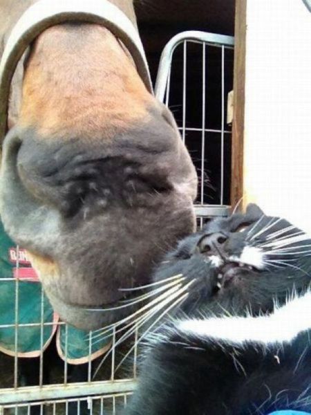 morning picdump 58 pics 18.html - 58 HD Photos | Premium Gallery 2014