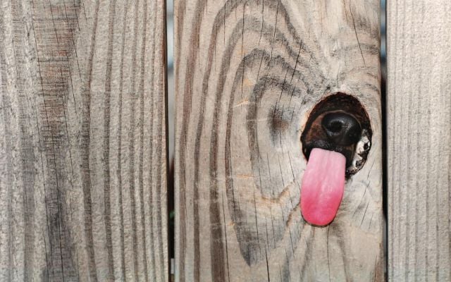 morning picdump 58 pics 18.html - 58 HD Photos | Premium Gallery 2014