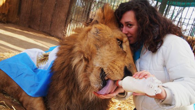 morning picdump 55 pics 12.html - 55 HD Photos | Premium Gallery 2014