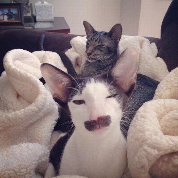 morning picdump 55 pics 12.html - 55 HD Photos | Premium Gallery 2014