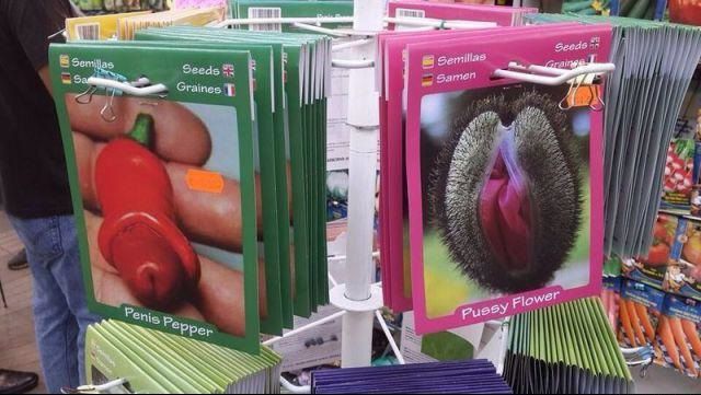 grownup corner 56 pics 15 gifs 26.html - 56 HD GIF | Premium Gallery 2014