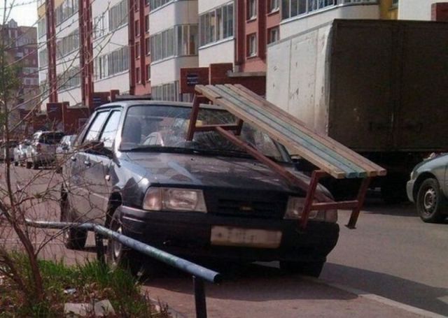 Morning Picdump