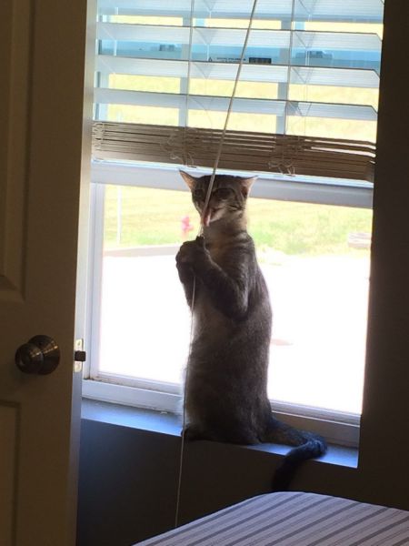 morning picdump 58 pics 20.html - 58 HD Photos | Premium Gallery 2014