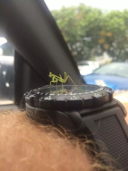 daily picdump 98 pics 15.html - 98 HD Photos | Premium Gallery 2014