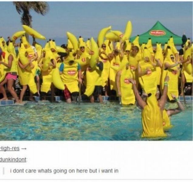 daily picdump 98 pics 15.html - 98 HD Photos | Premium Gallery 2014