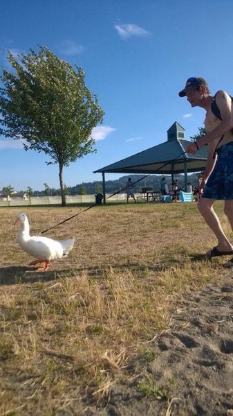 daily picdump 98 pics 15.html - 98 HD Photos | Premium Gallery 2014