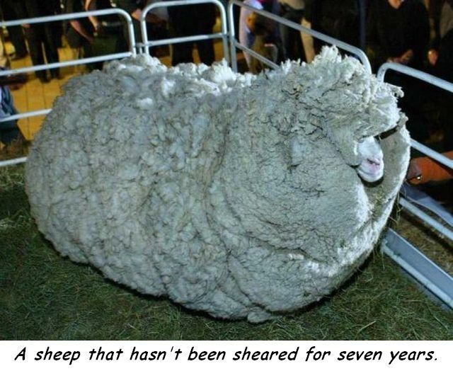 daily picdump 98 pics 15.html - 98 HD Photos | Premium Gallery 2014