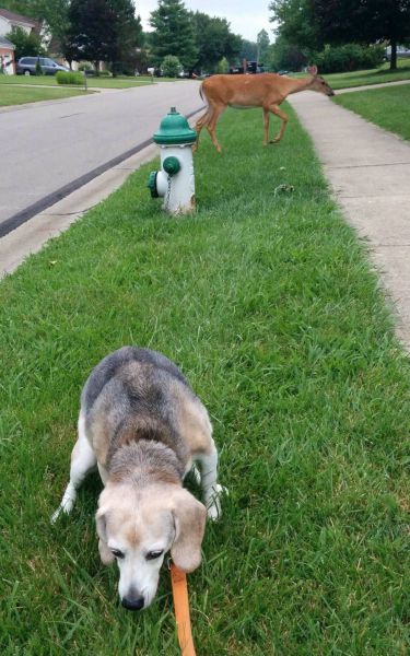 daily picdump 98 pics 15.html - 98 HD Photos | Premium Gallery 2014