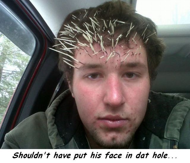 daily picdump 98 pics 15.html - 98 HD Photos | Premium Gallery 2014