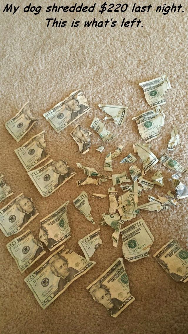 daily picdump 98 pics 15.html - 98 HD Photos | Premium Gallery 2014