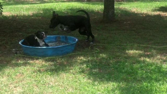 morning picdump 57 pics 10.html - 57 HD Photos | Premium Gallery 2014