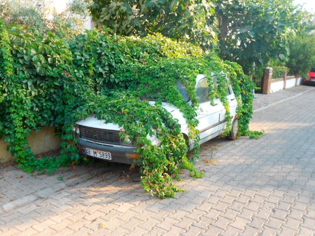 morning picdump 57 pics 10.html - 57 HD Photos | Premium Gallery 2014