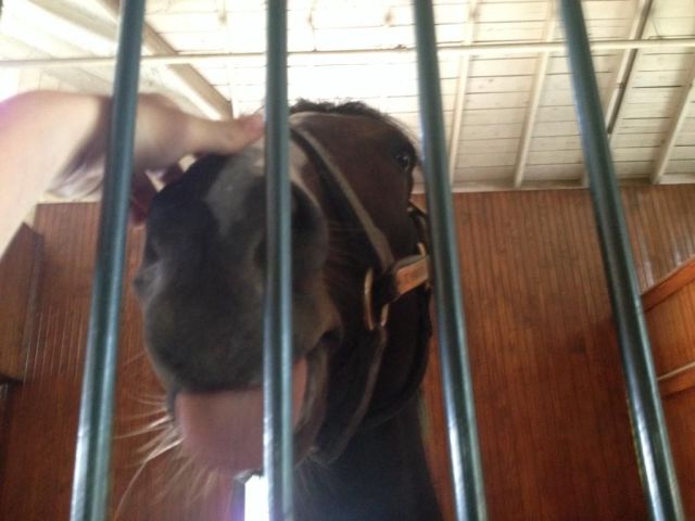 morning picdump 57 pics 10.html - 57 HD Photos | Premium Gallery 2014