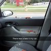 morning picdump 54 pics.html - 54 HD Photos | Premium Gallery 2019