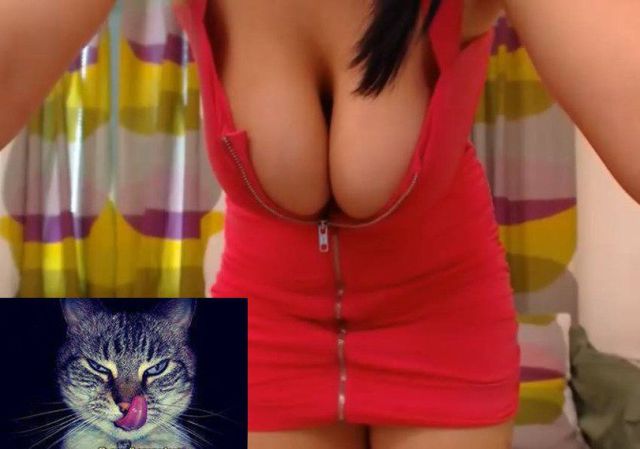 grownup corner 47 pics 22 gifs 34.html - 47 HD GIF | Premium Gallery 2014