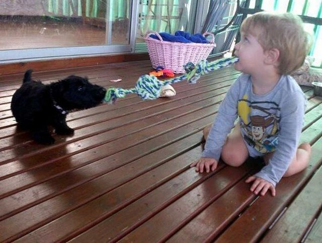 morning picdump 70 pics 21.html - 70 HD Photos | Premium Gallery 2014